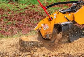 Best Tree Preservation Services  in Ten Mile Run, NJ